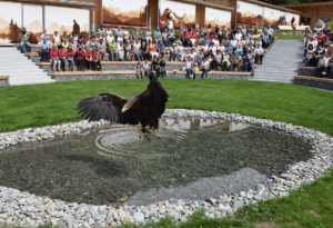 BesucherarenaGreifvogelpark